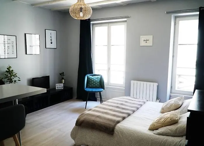 Apartment La Petite Strasbourgeoise Hygge Studio Cosy Proche Cathedrale
