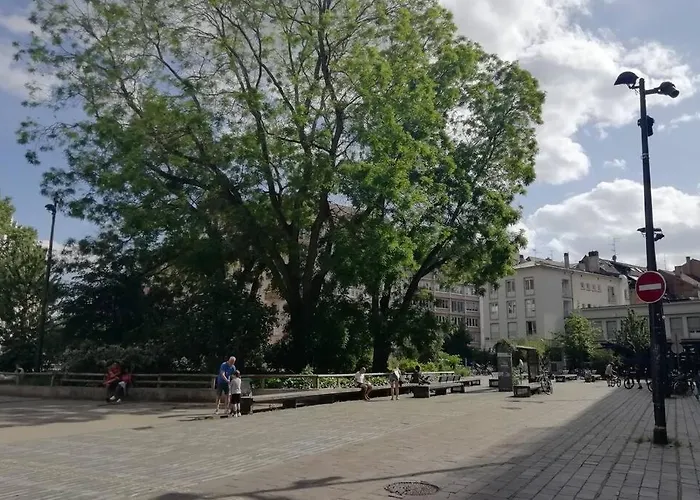 La Petite Strasbourgeoise Hygge Studio Cosy Proche Cathedrale Apartment *