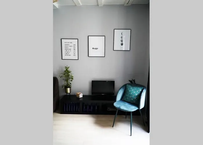 Apartment La Petite Strasbourgeoise Hygge Studio Cosy Proche Cathedrale *