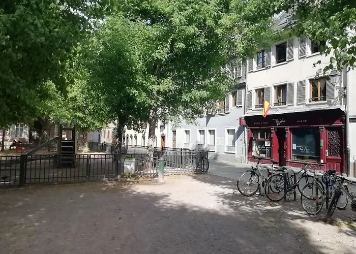 R Appartements Strasbourg La Petite Strasbourgeoise Hygge Hypercentre Cathedrale * Στρασβούργο