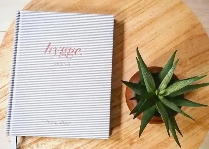 Apartment La Petite Strasbourgeoise Hygge Studio Cosy Proche Cathedrale *