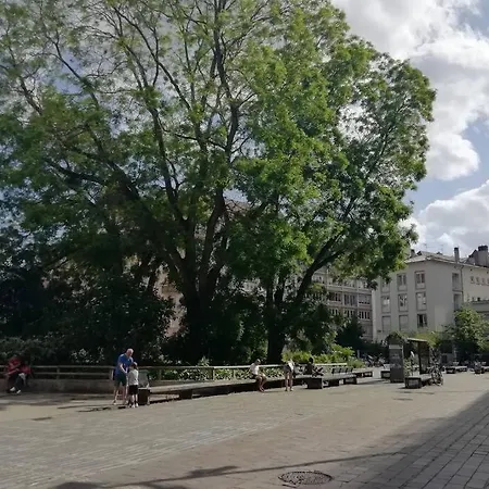 R-appartements La Petite Strasbourgeoise Hygge Cosy Appartement *