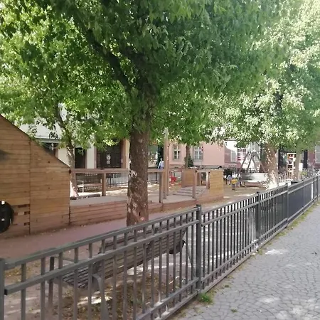 Apartamento La Petite Strasbourgeoise Hygge studio cosy proche cathédrale Estrasburgo